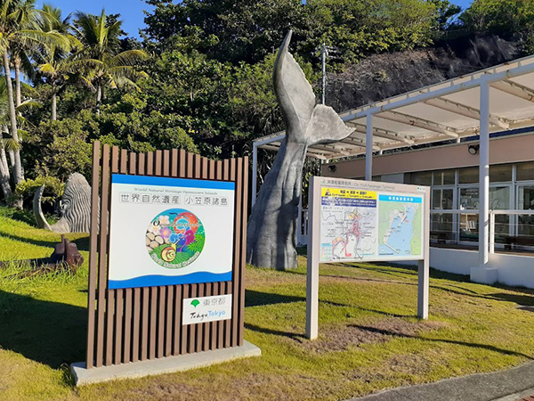 小笠原諸島　母島