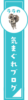 マスコット犬ララの気まぐれブログ