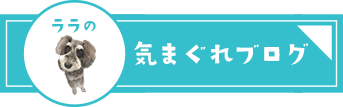 マスコット犬ララの気まぐれブログ